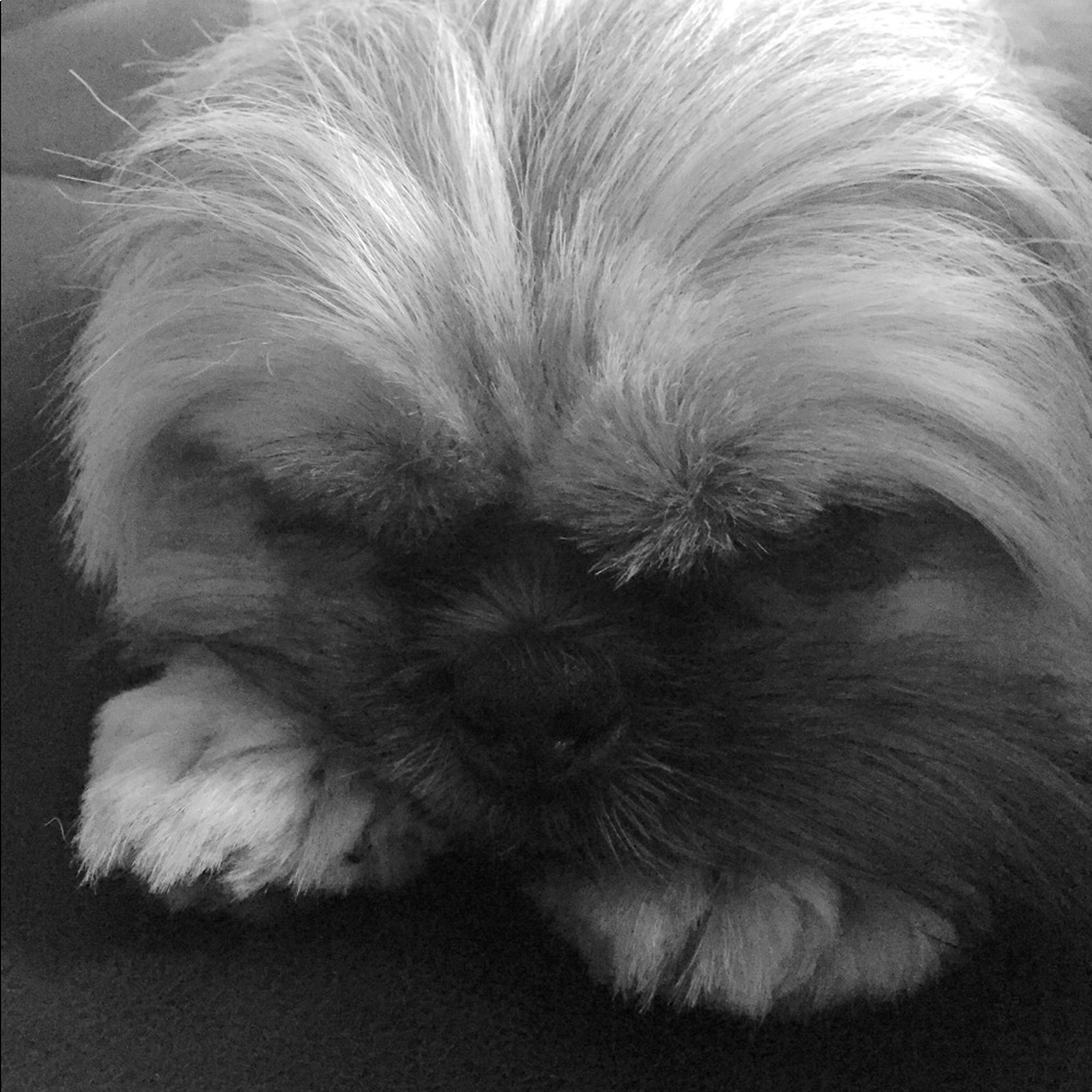 Meet your Posher, Chrissy